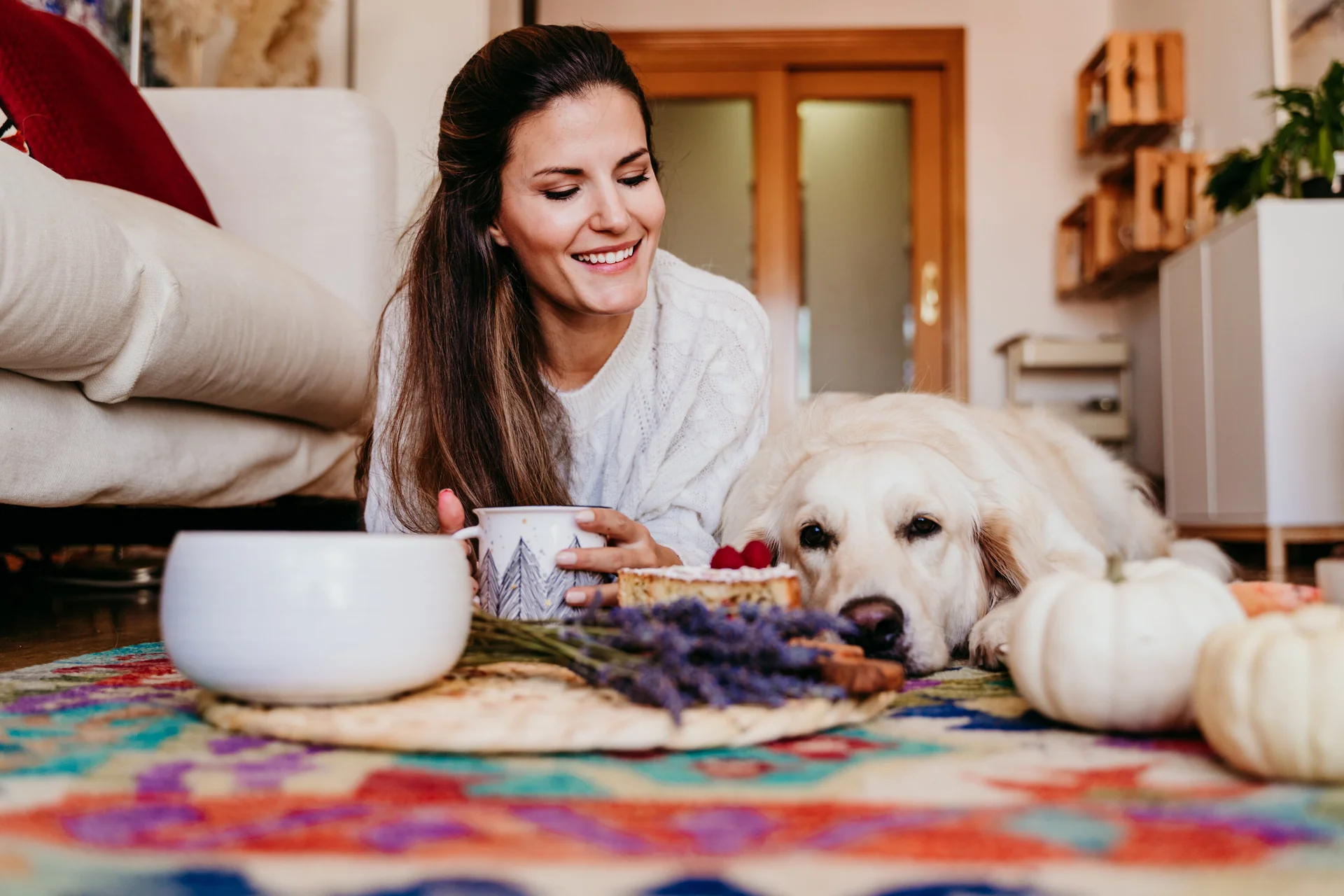 Vet-Approved Homemade Dog Food for Sensitive Stomachs: A Complete Guide