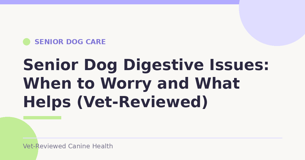 Senior Dog Digestive Issues: When to Worry and What Helps (Vet-Reviewed)