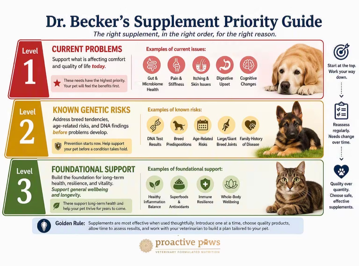 infographics - Myth: "More CFU = Better Probiotic"