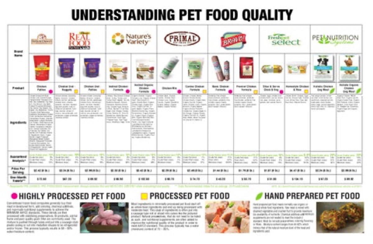 infographics - Why Oral Health Is the Overlooked Frontier in Dog Supplements