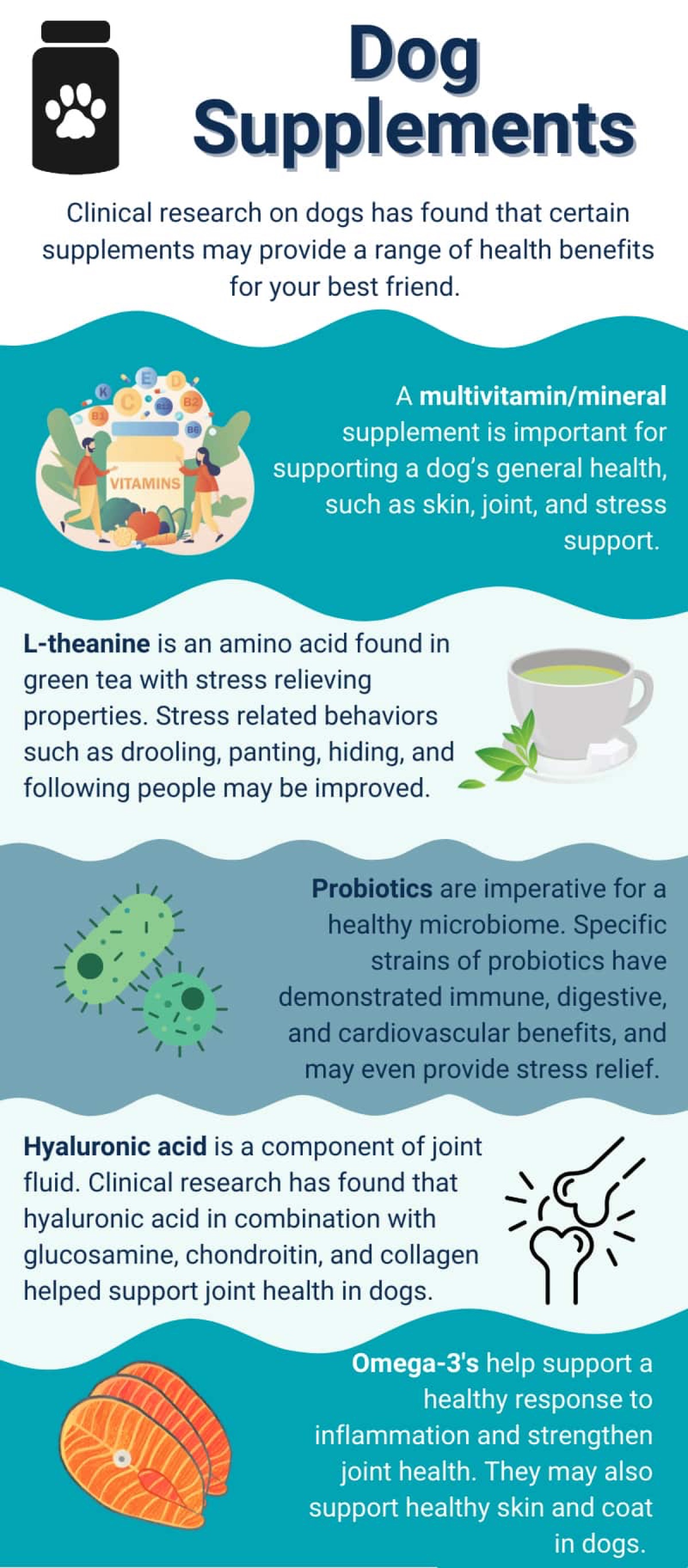 infographics - Prebiotics vs Probiotics vs Postbiotics vs Synbiotics: The Complete Guide