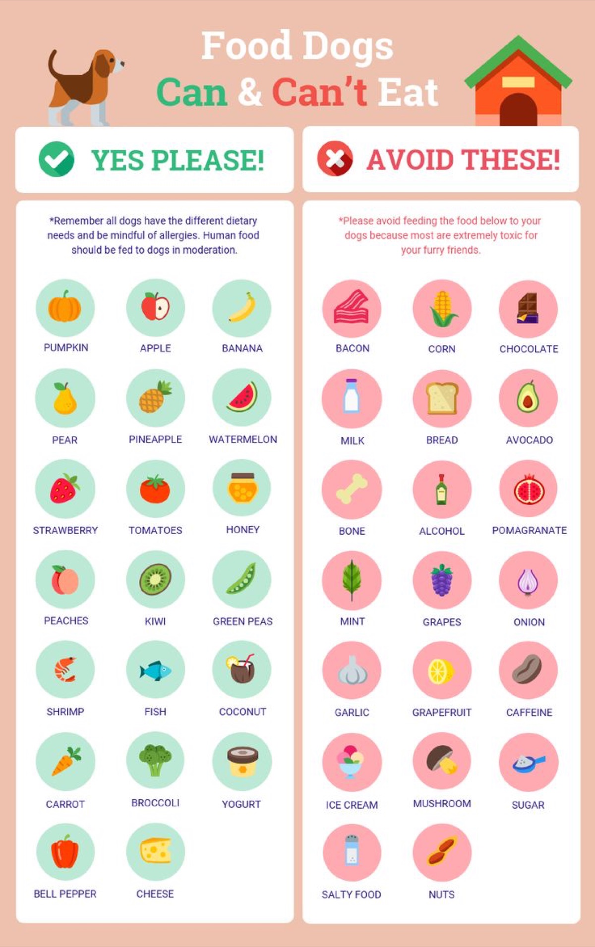 infographics - Prebiotics vs Probiotics vs Postbiotics vs Synbiotics: The Complete Guide