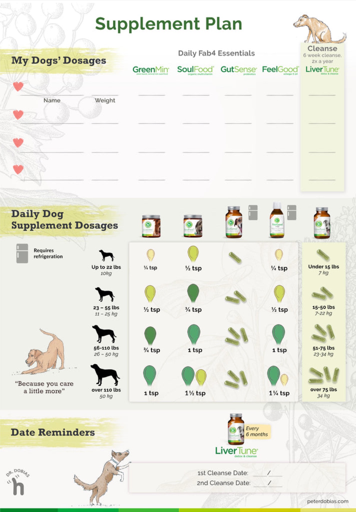 infographics - The Supplement Regulation Gap: FDA, AAFCO, and NASC Explained