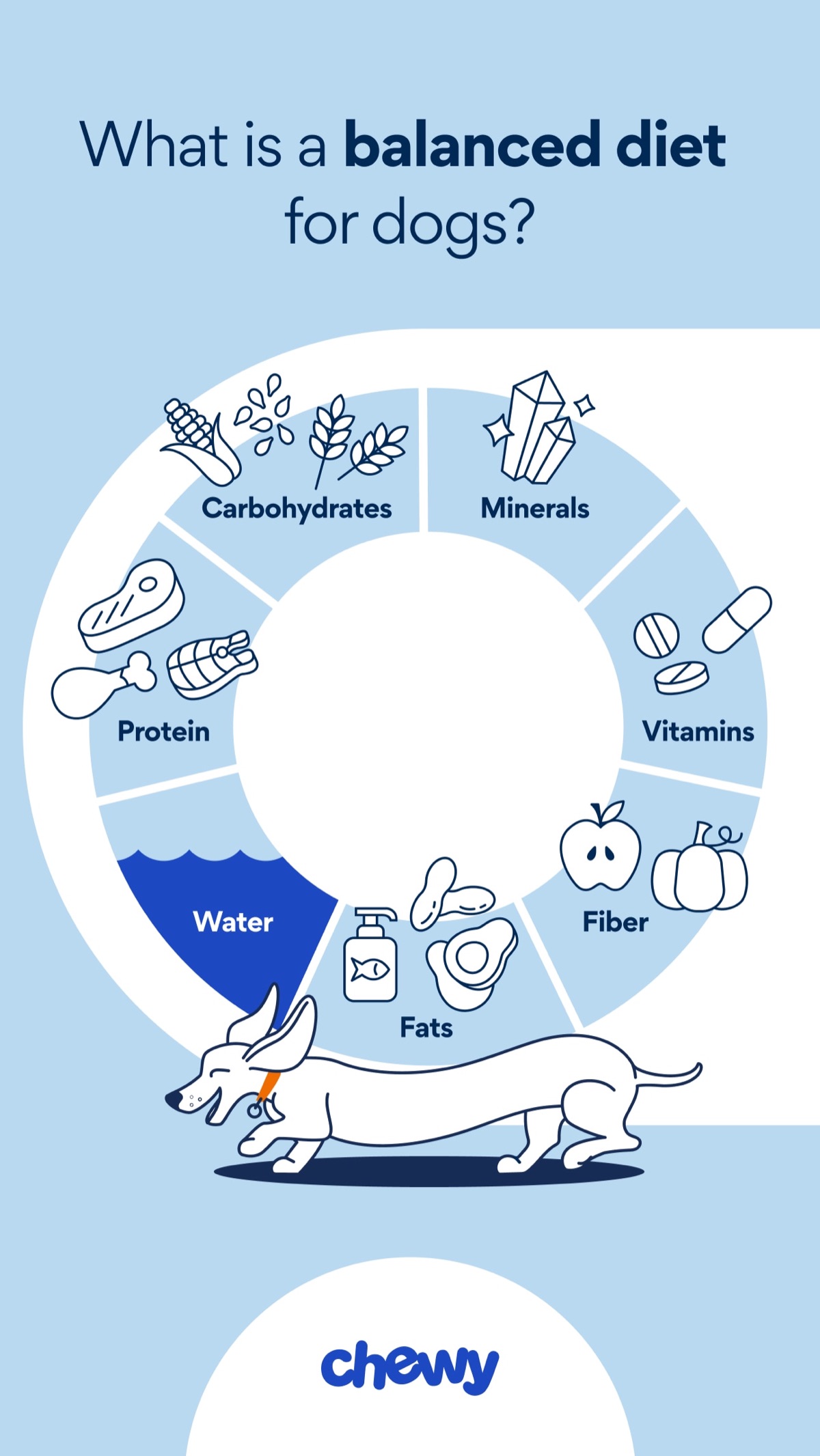 infographics - Claim Check: "Probiotics Cure All Dog Digestive Issues"