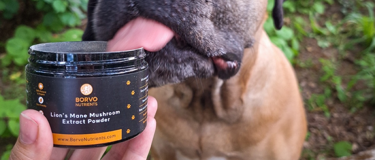 ingredients - Fact Check: "Postbiotics Are Just Marketing Hype"
