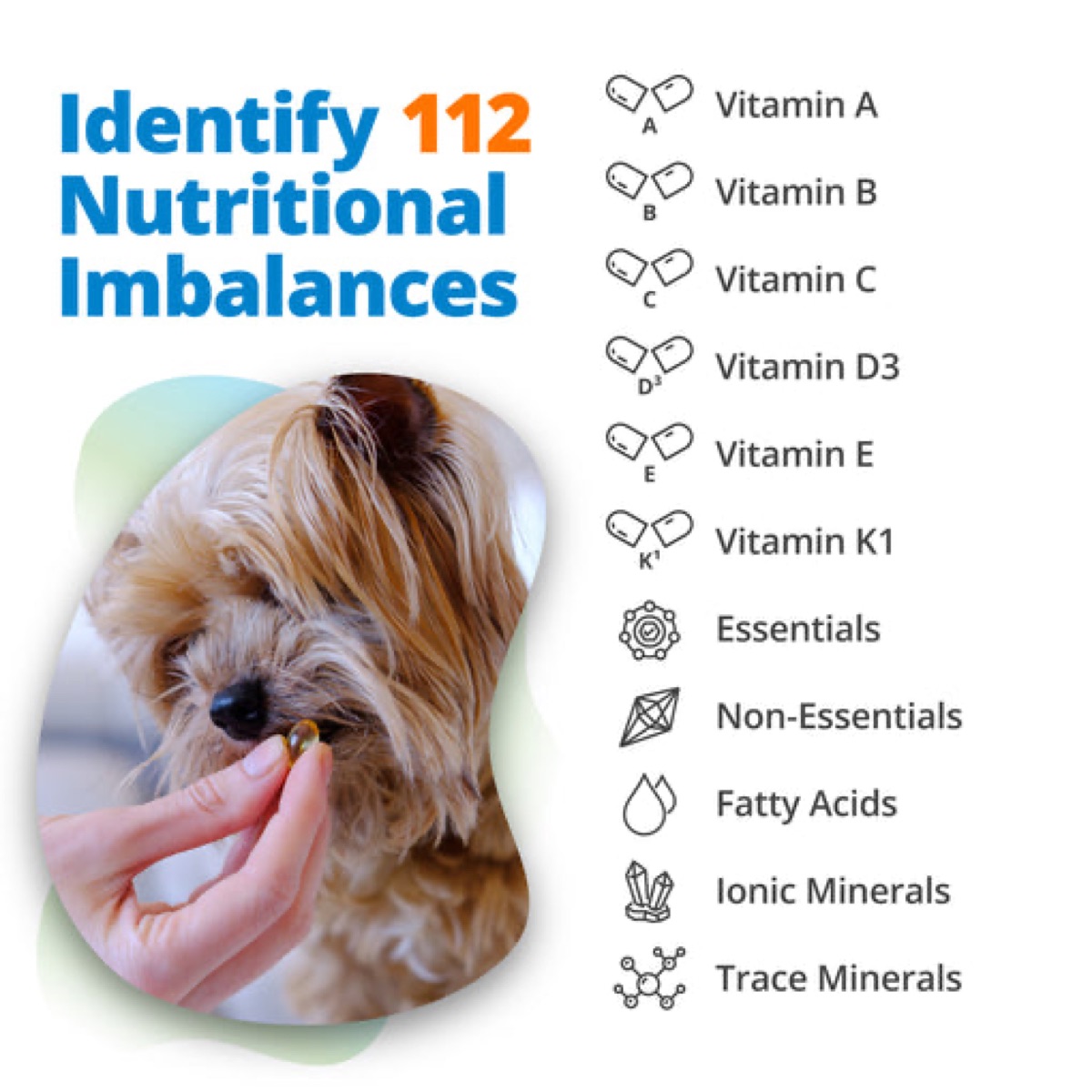 lab-testing - Fact Check: "All Dog Probiotics Are the Same"