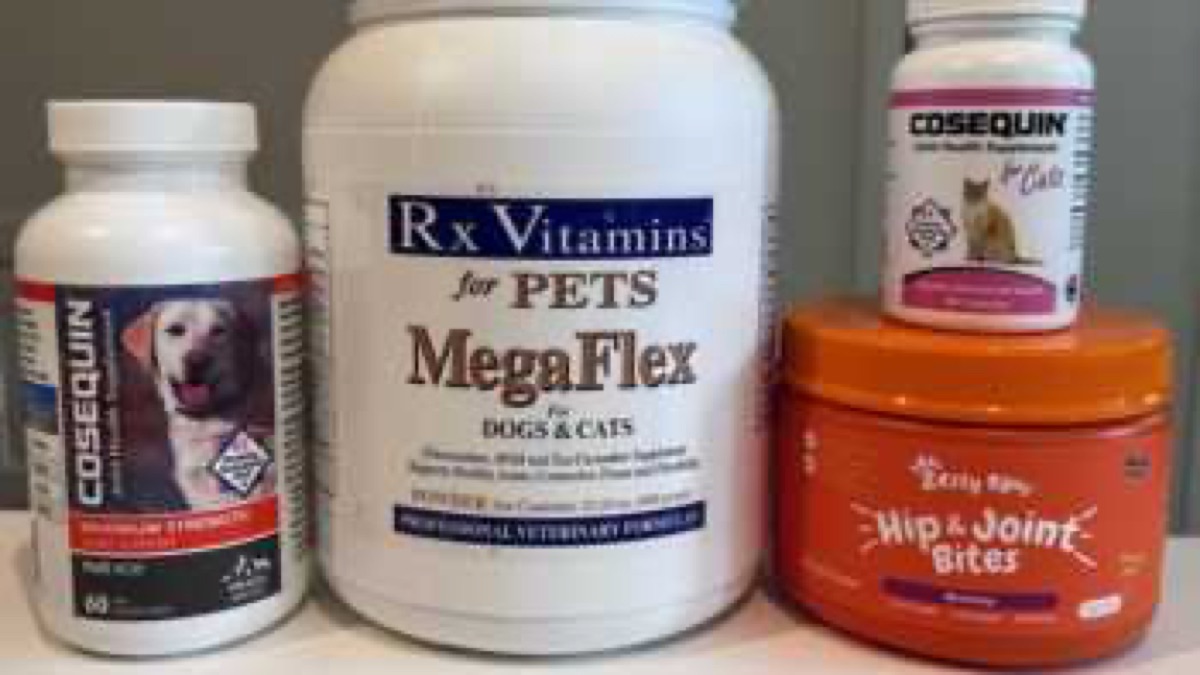 lab-testing - Claim Check: "Grain-Free Diets Eliminate Need for Supplements"