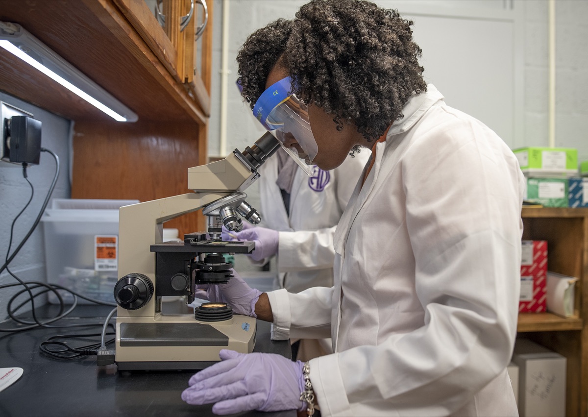 Researcher using a microscope to assess probiotic stability