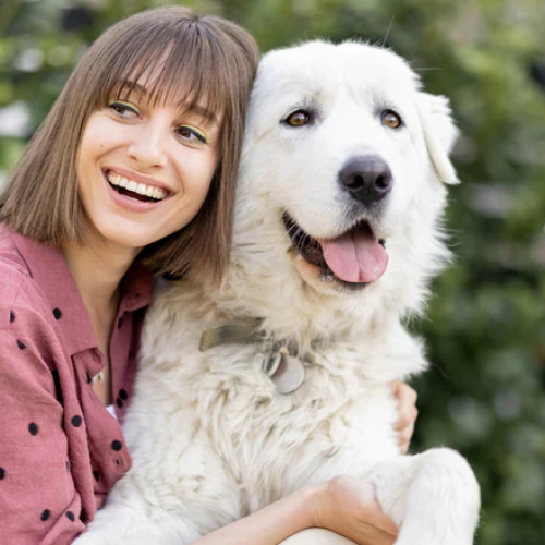 Dog Gut Health: Simple Ways to Support Digestion and Immunity