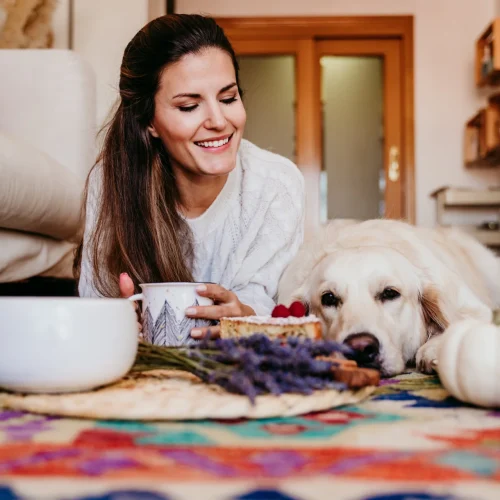 Vet-Approved Homemade Dog Food for Sensitive Stomachs: A Complete Guide